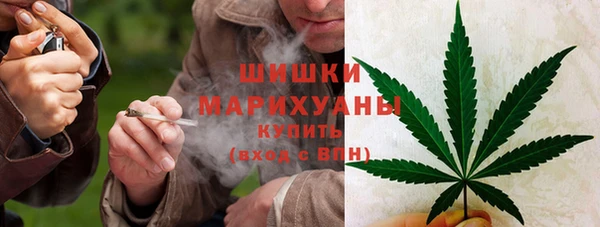 соль ск Арсеньев