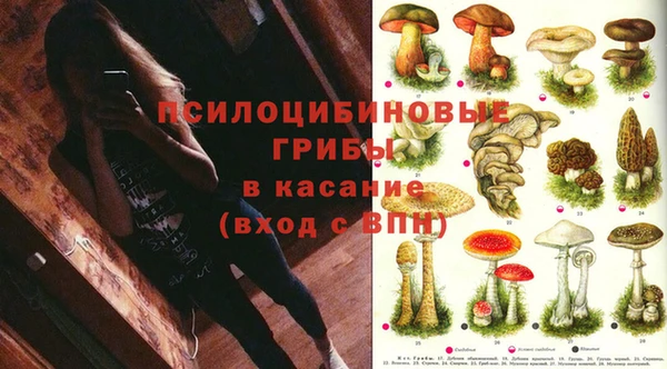 соль ск Арсеньев