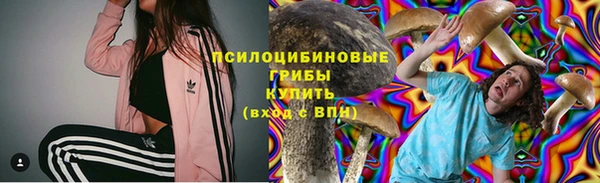 МДПВ Армянск