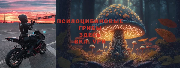 соль ск Арсеньев
